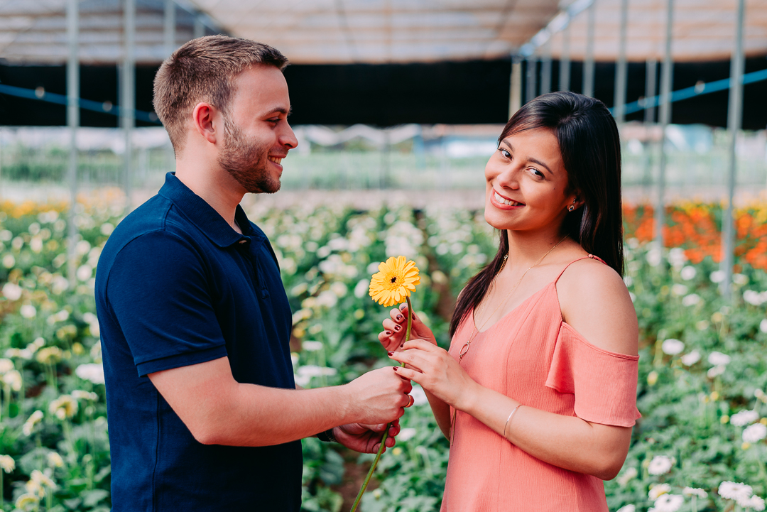 Ensaio Holambra fotógrafo de casamento em são paulo ensaio casal ensaio pré wedding noiva noivo ensaio fotográfico campo de trigo pontos turísticos de Holambra pousada hotel hostel amor love casamento buquê aliança vestido de casamento cerimônia festa