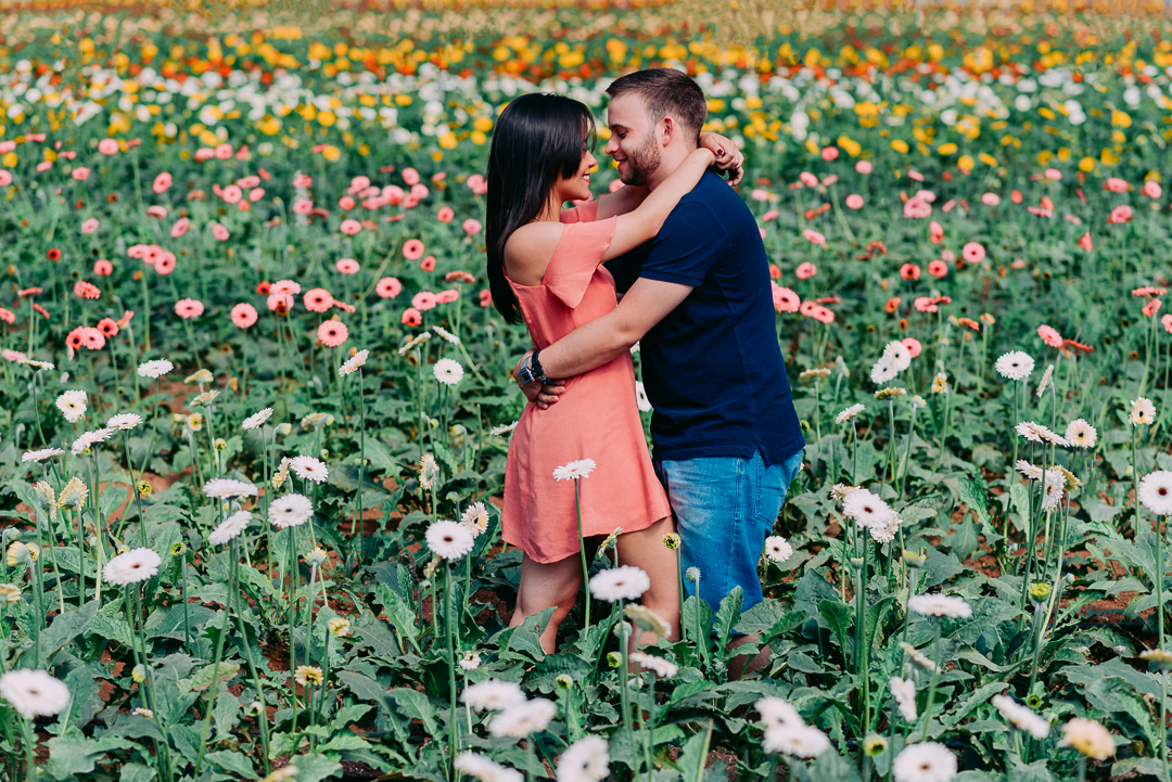 Ensaio Holambra fotógrafo de casamento em são paulo ensaio casal ensaio pré wedding noiva noivo ensaio fotográfico campo de trigo pontos turísticos de Holambra pousada hotel hostel amor love casamento buquê aliança vestido de casamento cerimônia festa