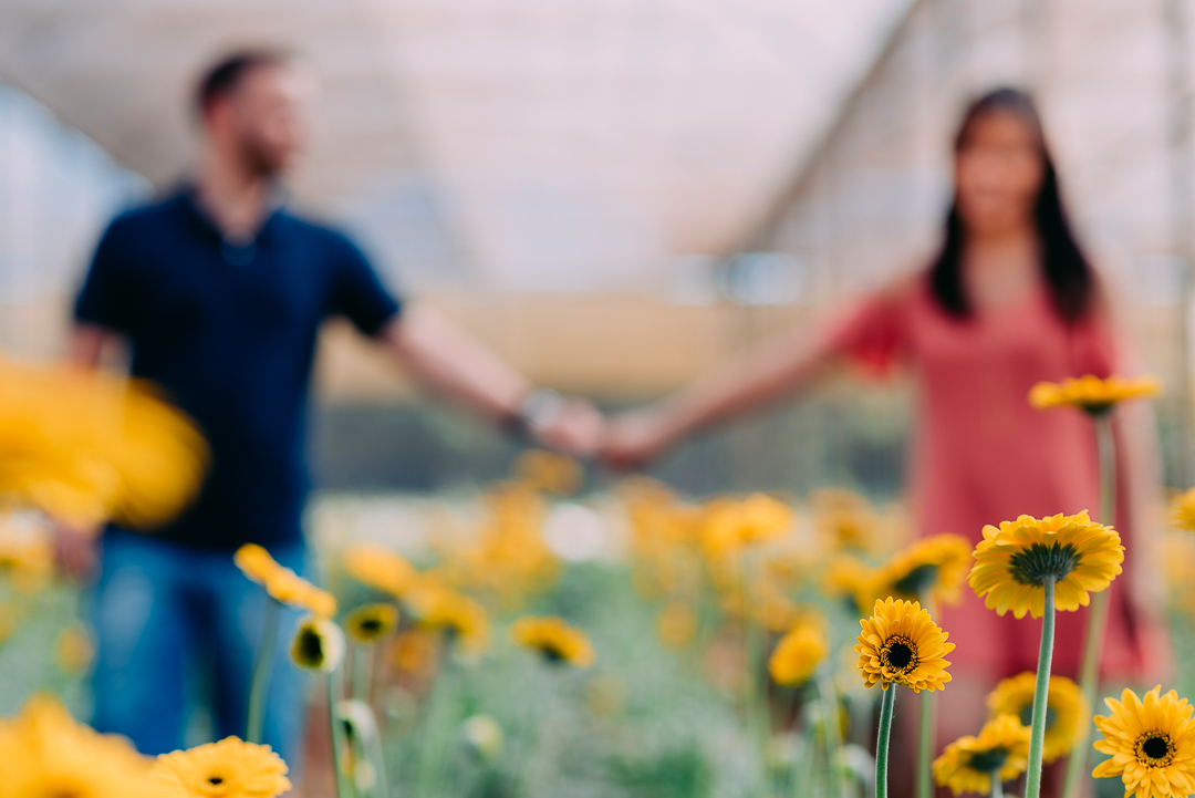 Ensaio Holambra fotógrafo de casamento em são paulo ensaio casal ensaio pré wedding noiva noivo ensaio fotográfico campo de trigo pontos turísticos de Holambra pousada hotel hostel amor love casamento buquê aliança vestido de casamento cerimônia festa