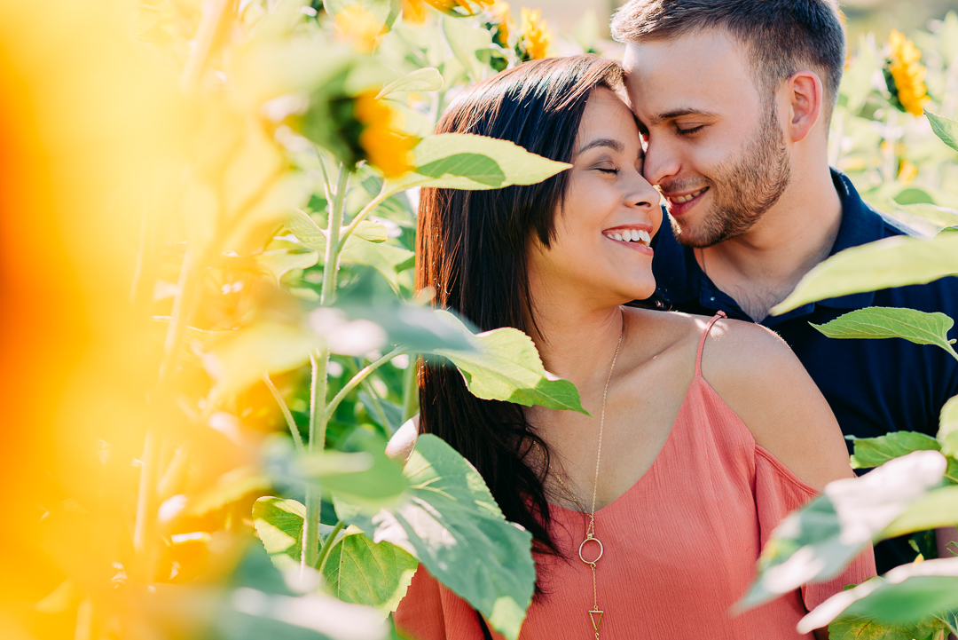 Ensaio Holambra fotógrafo de casamento em são paulo ensaio casal ensaio pré wedding noiva noivo ensaio fotográfico campo de trigo pontos turísticos de Holambra pousada hotel hostel amor love casamento buquê aliança vestido de casamento cerimônia festa
