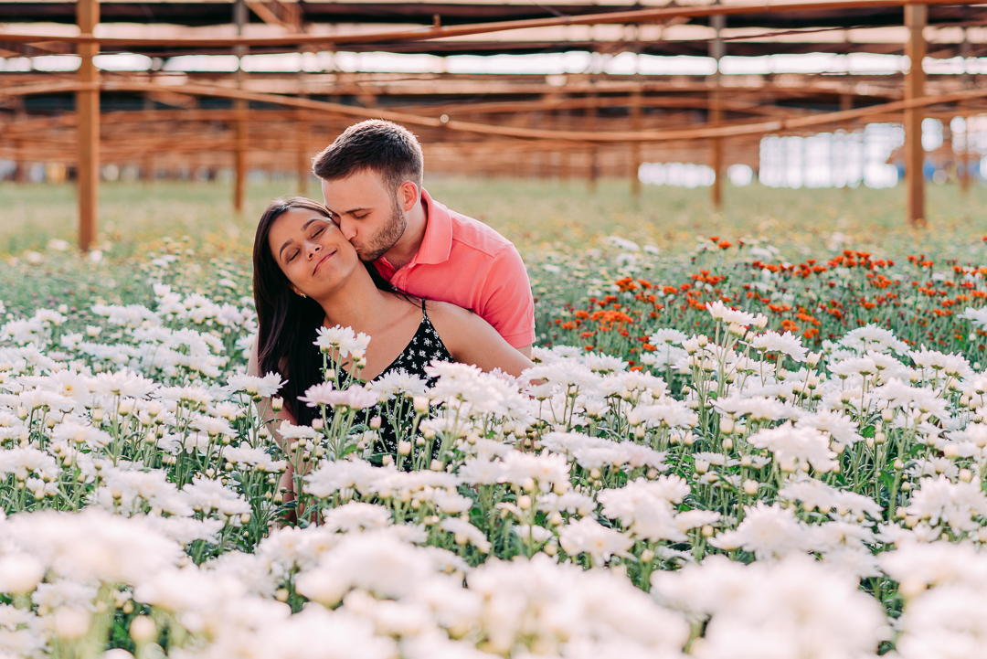 Ensaio Holambra fotógrafo de casamento em são paulo ensaio casal ensaio pré wedding noiva noivo ensaio fotográfico campo de trigo pontos turísticos de Holambra pousada hotel hostel amor love casamento buquê aliança vestido de casamento cerimônia festa