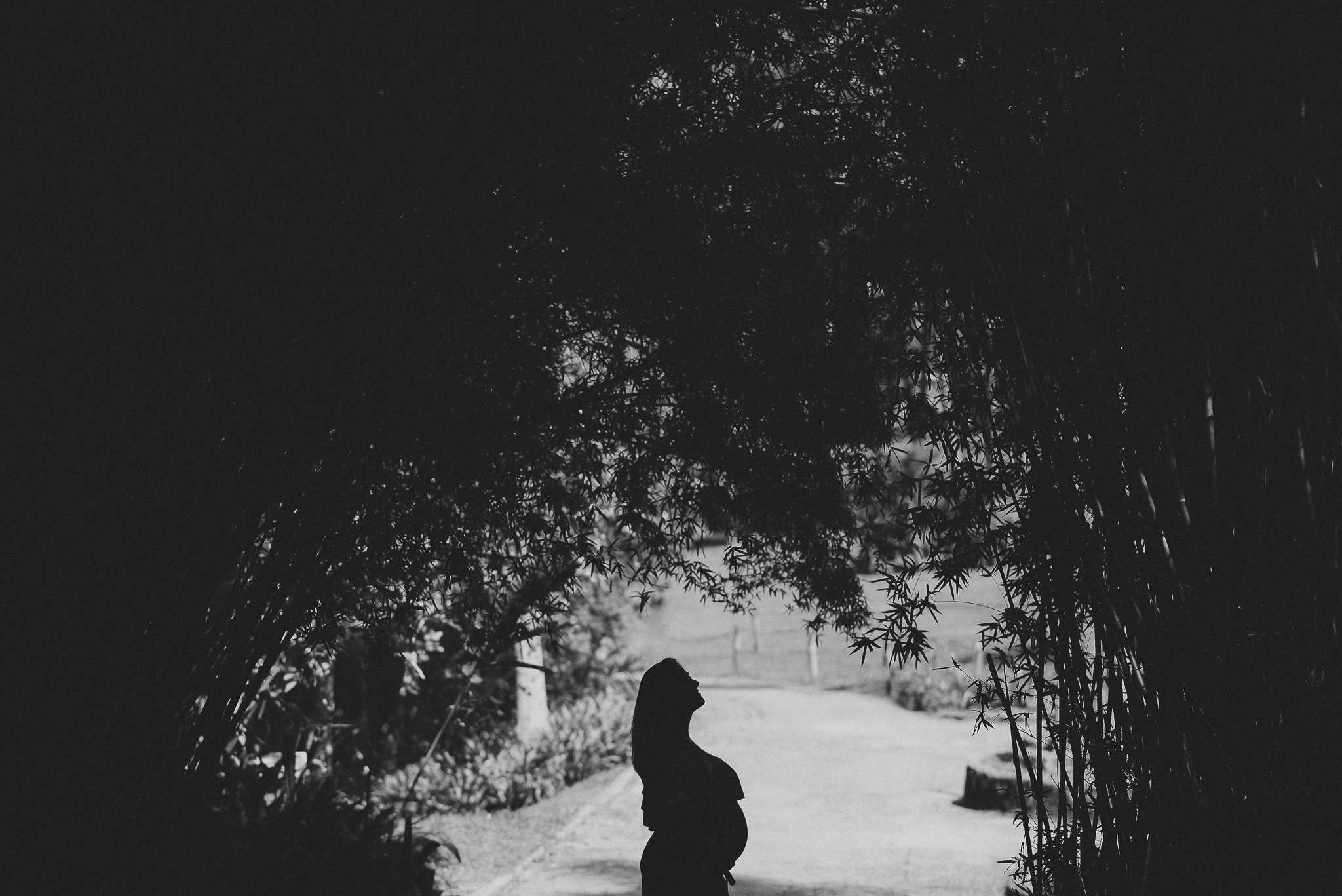 gestante pode tomar vacina da febre amarela ensaio gestante fotos de gestante book de gestante gestação mãe de menina mãe de menino maternidade parto parto cesárea parto natural parto humanizado contrações gestação #meumundoazul #meumundocorderosa newborn