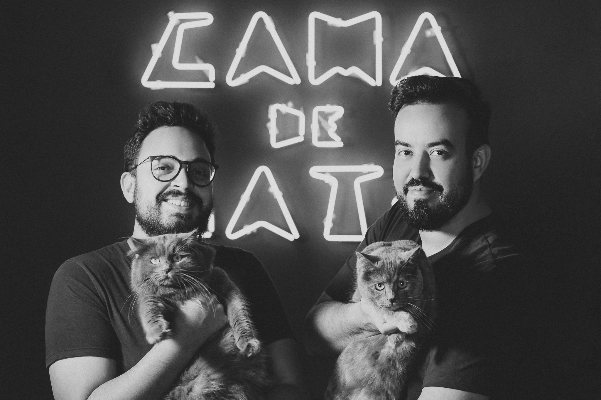 Sobre Cama de Gato