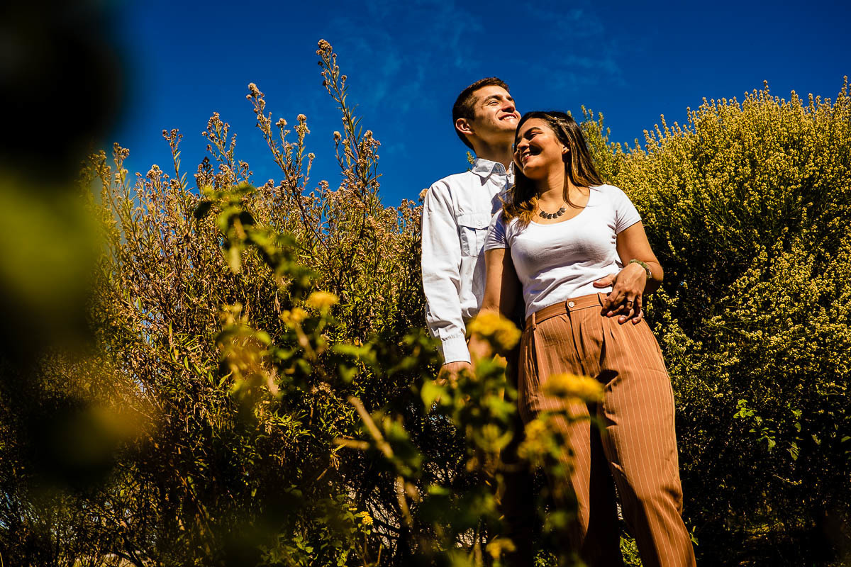 hamiley-jose-plaza-republica-federativa-del-brasil-francisco-veliz