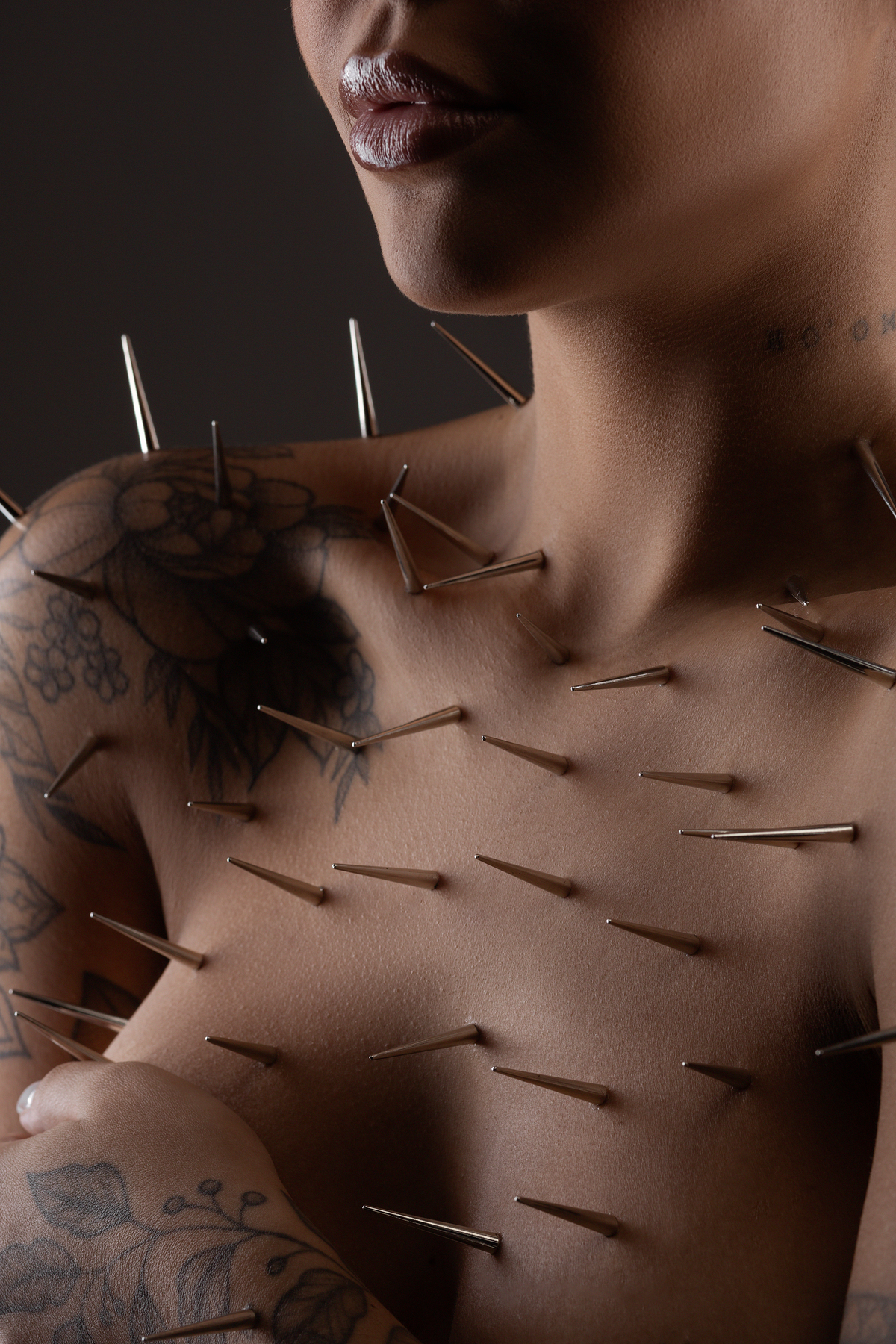 ensaio, ensaio pessoal, editorial, moda, ensaio sensual, spikes, espinho, ensaio fotografico, estudio fotografico americana, santa barbara, campinas, sumare nova odessa