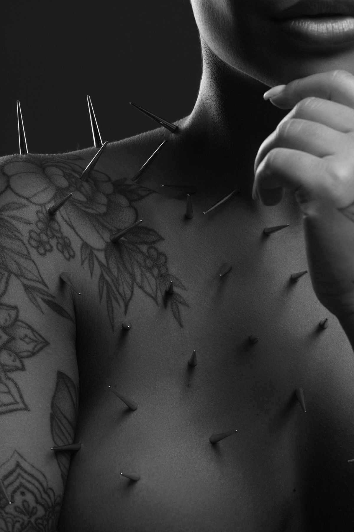 ensaio, ensaio pessoal, editorial, moda, ensaio sensual, spikes, espinho, ensaio fotografico, estudio fotografico americana, santa barbara, campinas, sumare nova odessa