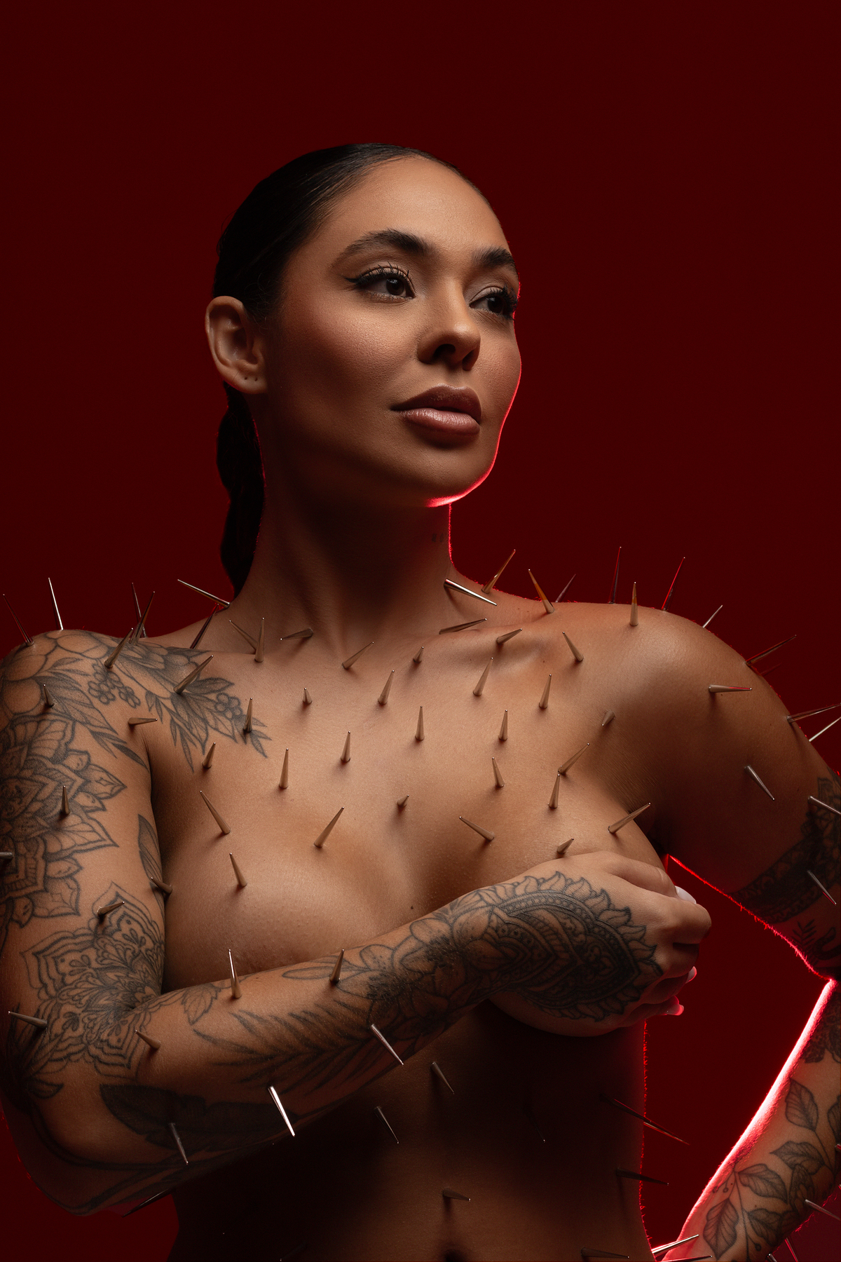 ensaio, ensaio pessoal, editorial, moda, ensaio sensual, spikes, espinho, ensaio fotografico, estudio fotografico americana, santa barbara, campinas, sumare nova odessa