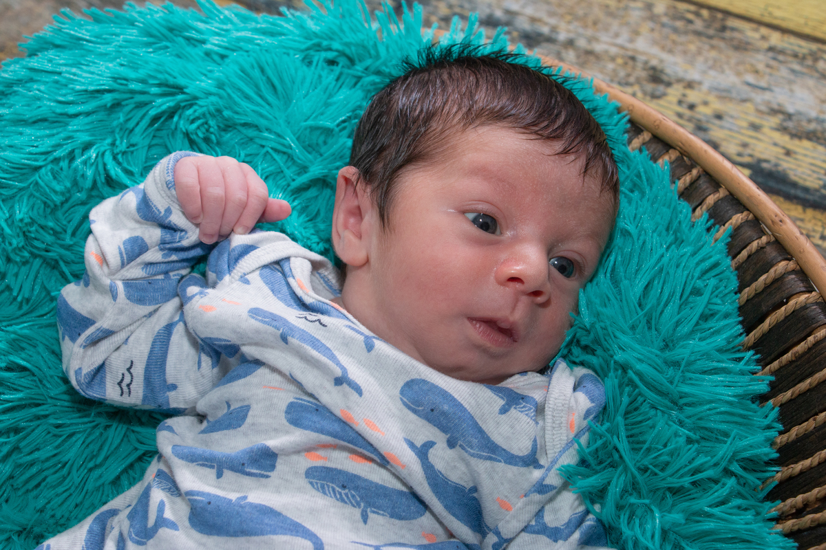 Book NEWBORN Ana Lúcia - Sweet Moments Fotografia - Guarujá-SP
