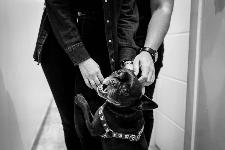 ensaio casal, ensaio pre wedding, Curitiba, fotografia, fotografo curitiba, ensaio lifestyle, ensaio fotografico curitiba, fotografo de casal curitiba, ensaio documenta, ensaio documental Curitiba, fotografia lifestyle