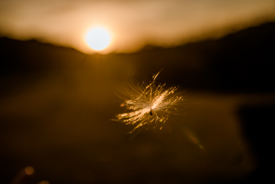 ensaio feminino, ensaio fotografico curitiba, ensaio externo, ensaio fotografico feminino, fotografo curitiba, ensaio fotográfico externo, fotografo curitibano, fotografa Curitiba