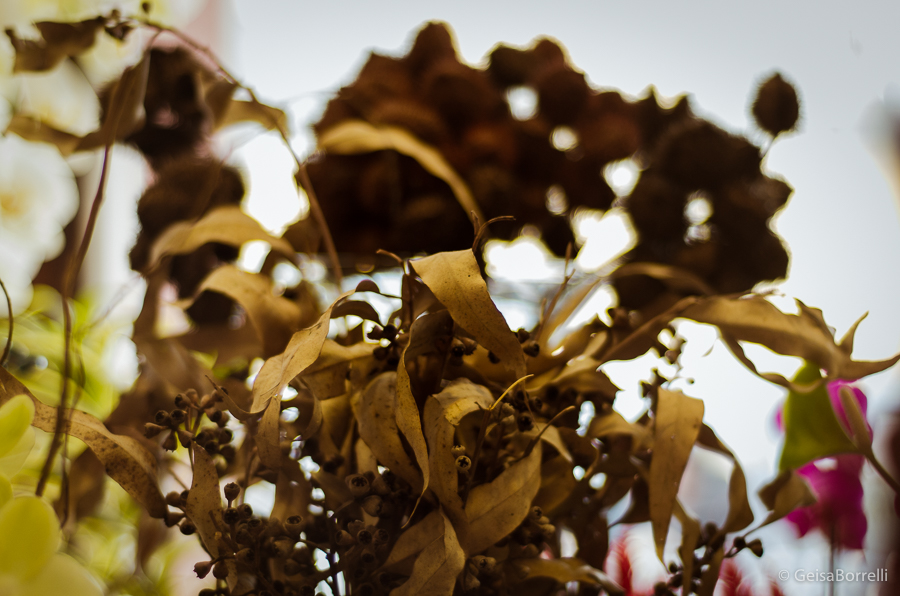 fotografia documental, fotografia campo largo, campo largo, fotografia, buque, casamento, ensaio