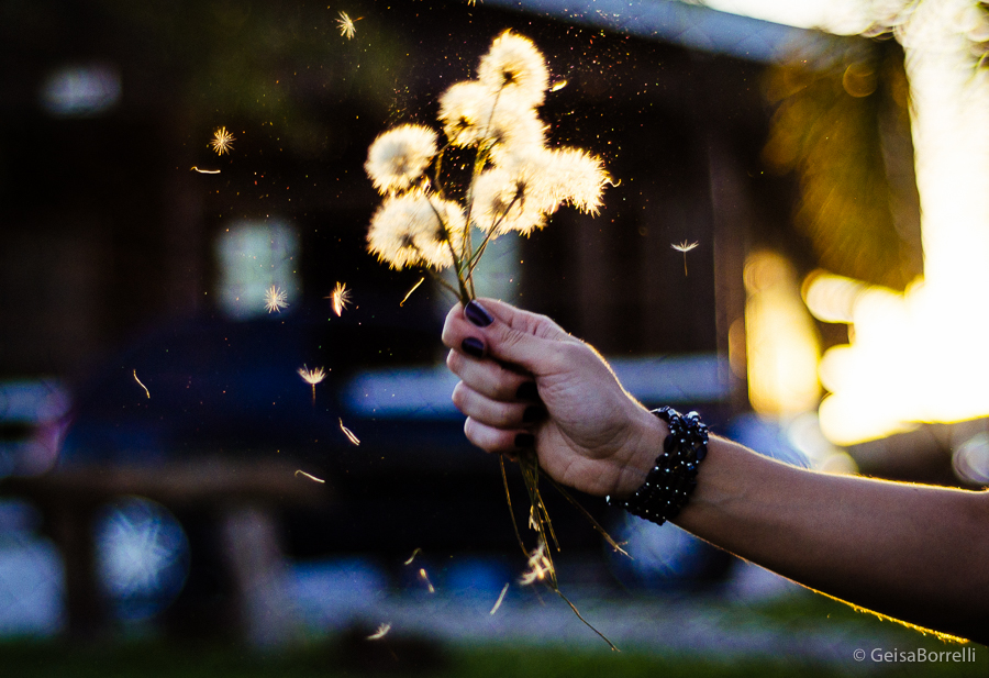 ensaio feminino, fotografia curitiba, ensaio fotográfico, fotógrafa curitiba, geisa borrelli fotografia, ensaio fotográfico externo, ensaio feminino Curitiba, ensaio fotográfico feminino, curitiba