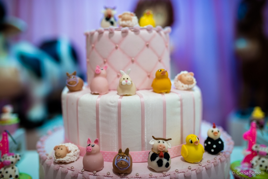 festinha de aniversário, festinha de 1 ano, fotografia, curitiba, fotografia de festinha, geisa borrelli fotografia