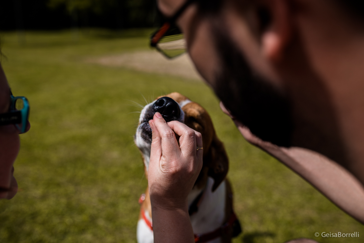 Ensaio pet Curitiba, ensaio pet, ensaio documental Curitiba, ensaio fotográfico externo, ensaio pet documental, ensaio lifestyle, ensaio externo, geisa borrelli fotografia, ensaio fotográfico pet