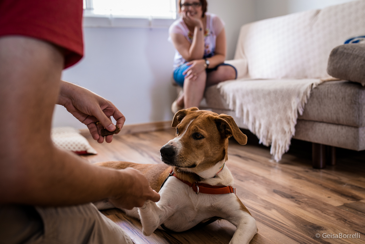 Ensaio pet Curitiba, ensaio pet, ensaio documental Curitiba, ensaio fotográfico externo, ensaio pet documental, ensaio lifestyle, ensaio externo, geisa borrelli fotografia, ensaio fotográfico pet