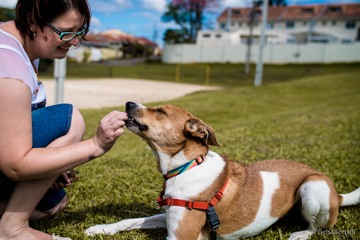 Ensaio pet Curitiba, ensaio pet, ensaio documental Curitiba, ensaio fotográfico externo, ensaio pet documental, ensaio lifestyle, ensaio externo, geisa borrelli fotografia, ensaio fotográfico pet