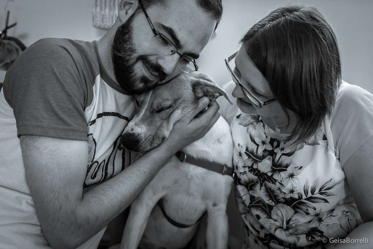 Ensaio pet Curitiba, ensaio pet, ensaio documental Curitiba, ensaio fotográfico externo, ensaio pet documental, ensaio lifestyle, ensaio externo, geisa borrelli fotografia, ensaio fotográfico pet