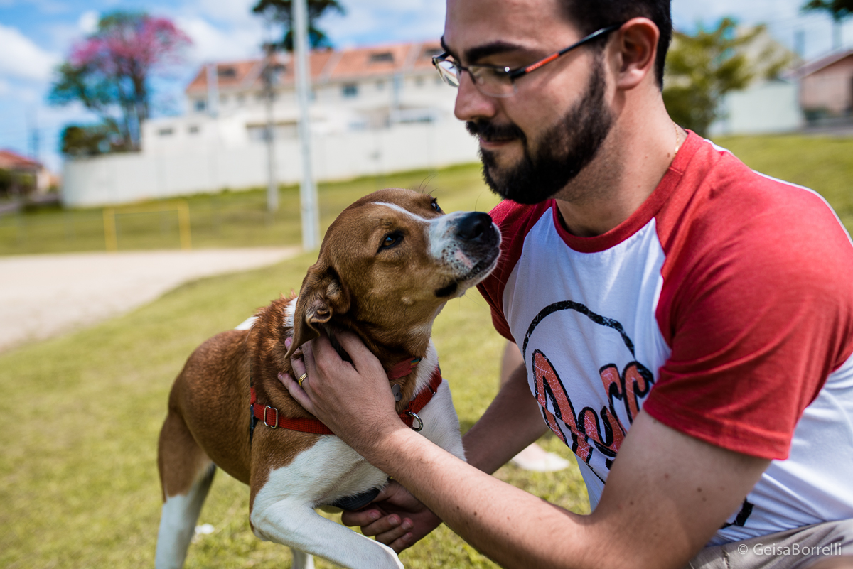 Ensaio pet Curitiba, ensaio pet, ensaio documental Curitiba, ensaio fotográfico externo, ensaio pet documental, ensaio lifestyle, ensaio externo, geisa borrelli fotografia, ensaio fotográfico pet