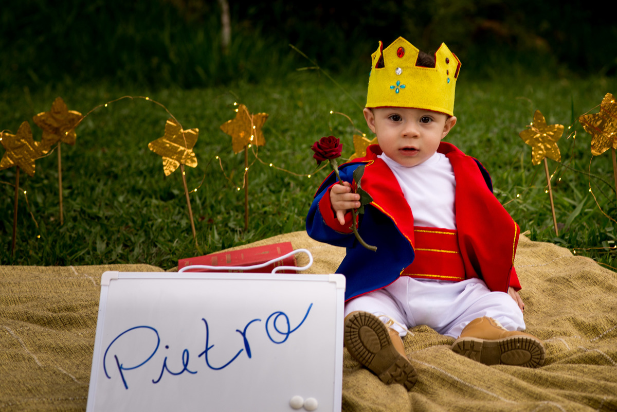 Ensaio infantil BH, ensaio infantil temático, ensaio pequeno príncipe, criança linda, foto de criança, foto linda de criança. 