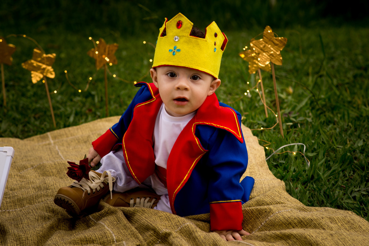 Ensaio infantil BH, ensaio infantil temático, ensaio pequeno príncipe, criança linda, foto de criança, foto linda de criança.