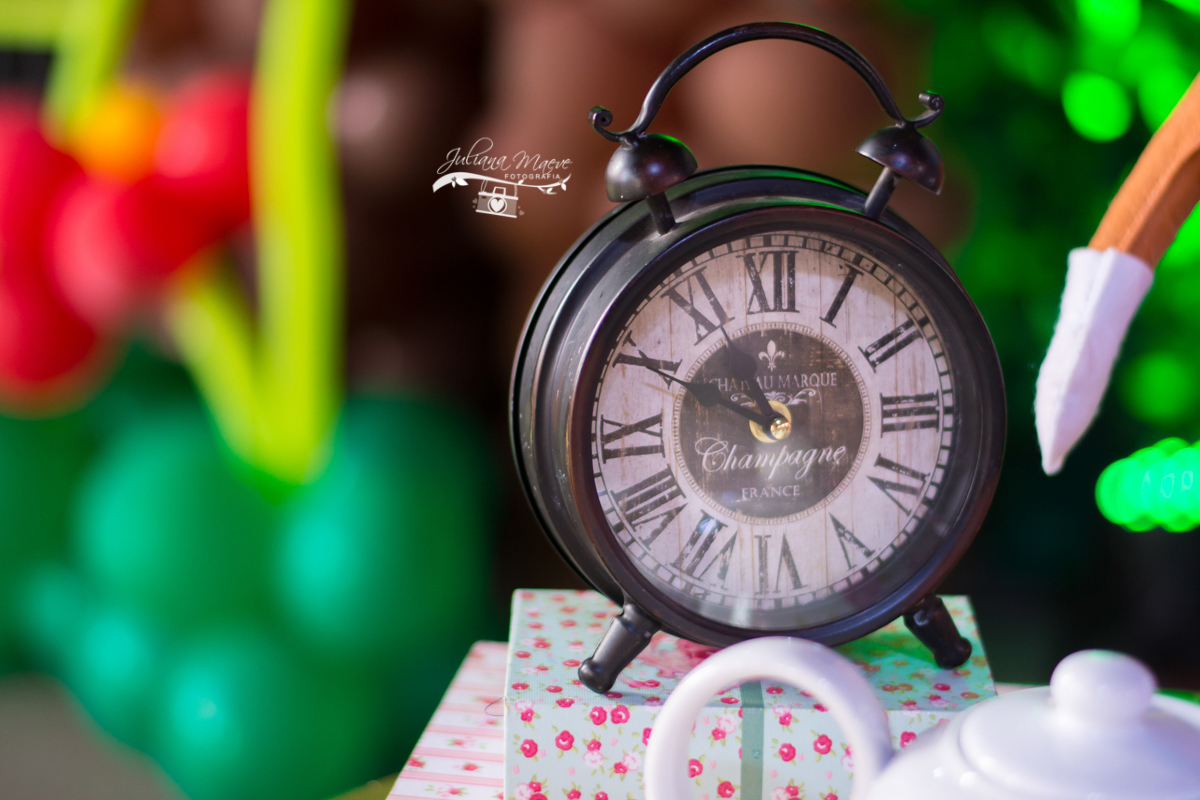 Juliana Maeve, Juliana Maeve Fotografia, Aniversario Infantil Ouro preto, Fotografa crianças ouro preto, Fotografa crianças mariana, festa alice no pais das maravilhas