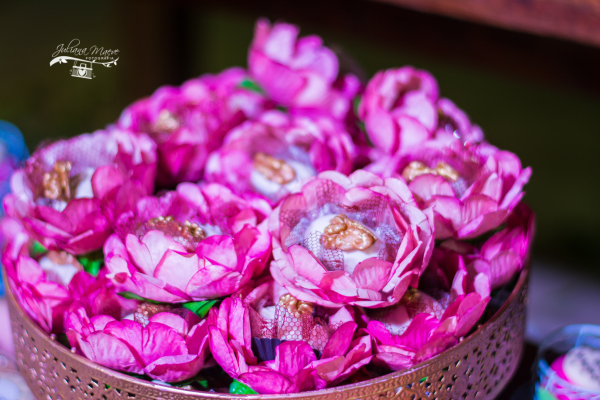 Juliana Maeve, Juliana Maeve Fotografia, Aniversario Infantil Ouro preto, Fotografa crianças ouro preto, Fotografa crianças mariana, festa alice no pais das maravilhas