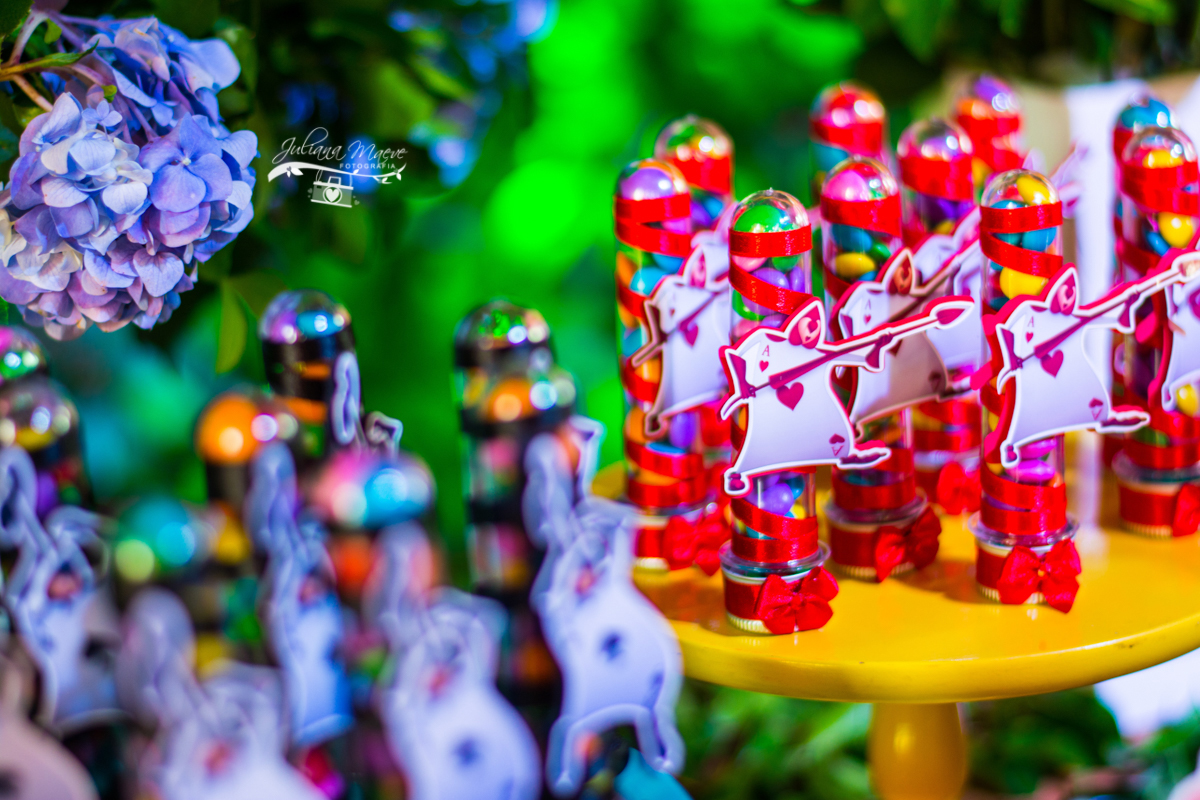 Juliana Maeve, Juliana Maeve Fotografia, Aniversario Infantil Ouro preto, Fotografa crianças ouro preto, Fotografa crianças mariana, festa alice no pais das maravilhas