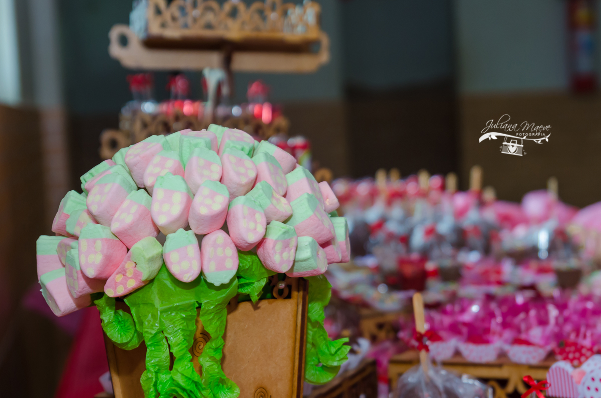 Aniversario Ouro Preto, Fotografia Infantil Ouro Preto, Aniversario Infantil Ouro Preto, Aniversario , Juliana Maeve, Juliana Maeve Fotografia, Fotografa Infantil Ouro Preto, Fotografa Ouro Preto