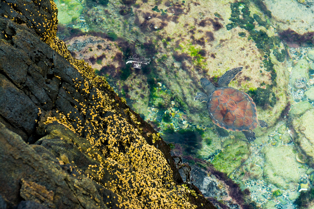 Juliana Maeve Fotografia, Gestante em Cabo Frio, Sessao gestante na Praia, Gestante Cabo Frio, Fotografa em Ouro Preto, Fotografa de Gestante em Ouro Preto, Ouro Preto MG, Cabo Frio RJ