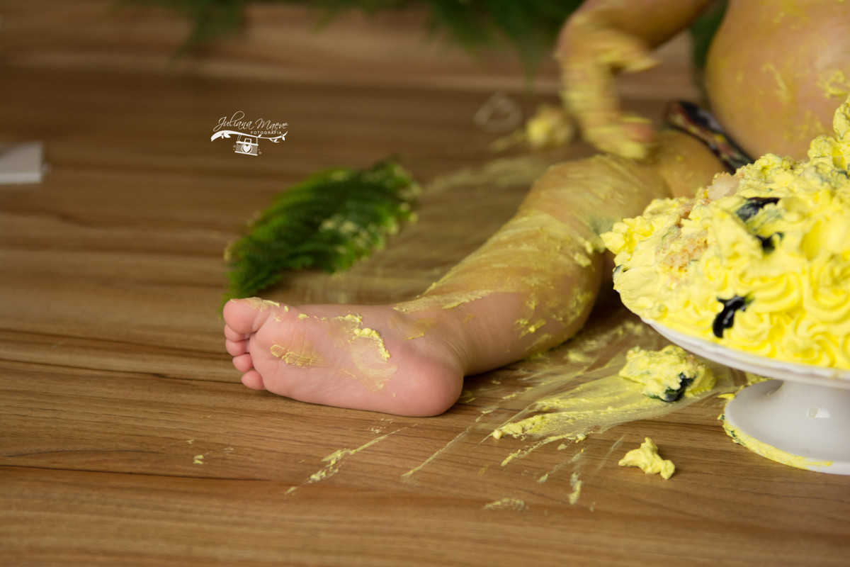 Fotografia Infantil Ouro Preto, Fotografa Infantil Ouro Preto, Smash The Cake, Ouro preto, Juliana Maeve, Juliana Maeve Fotografia, Fotografia Mariana, Minas Gerais, Smash The Cake Safari