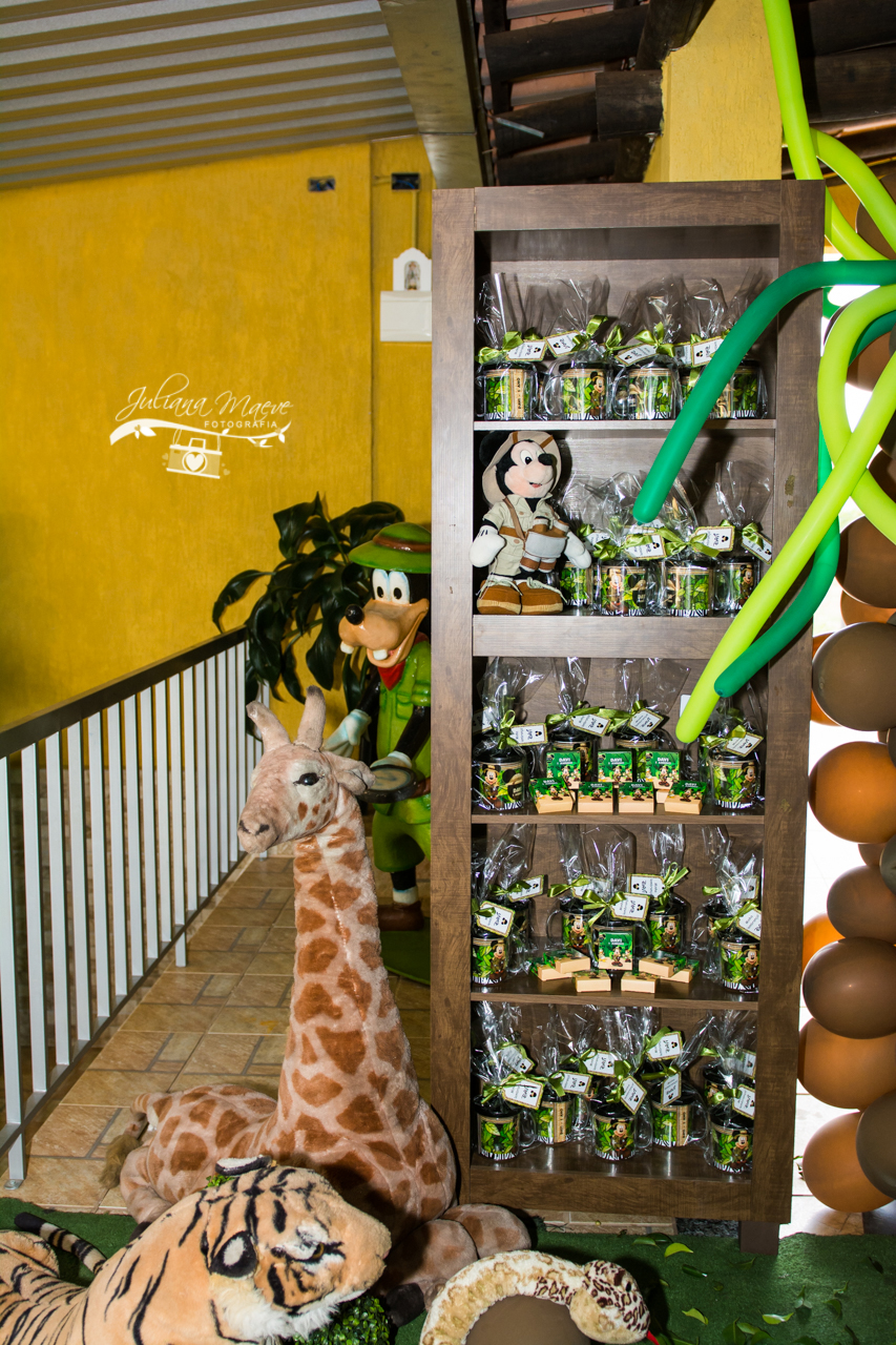 Fotografia Infantil Ouro Preto, Aniversario Infantil Ouro Preto, Juliana Maeve, Juliana Maeve Fotografia, Fotografa Ouro Preto, Aniversario Cachoeira do Campo, Aniversario Safari, Mickey Safari