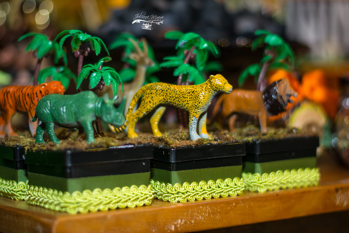 Fotografia Infantil Ouro Preto, Aniversario Infantil Ouro Preto, Juliana Maeve, Juliana Maeve Fotografia, Fotografa Ouro Preto, Aniversario Cachoeira do Campo, Aniversario Safari, Mickey Safari