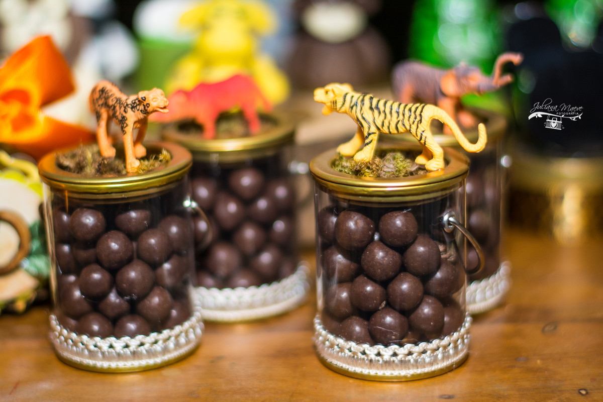 Fotografia Infantil Ouro Preto, Aniversario Infantil Ouro Preto, Juliana Maeve, Juliana Maeve Fotografia, Fotografa Ouro Preto, Aniversario Cachoeira do Campo, Aniversario Safari, Mickey Safari