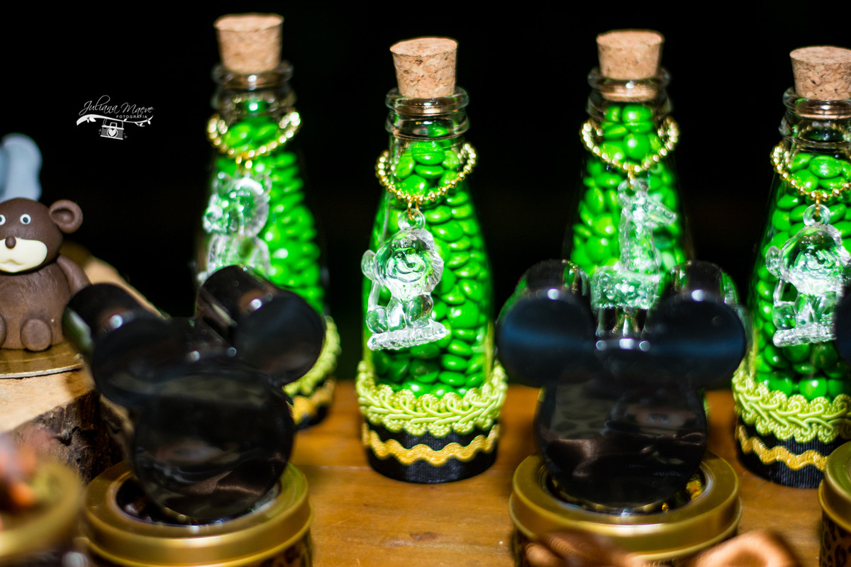 Fotografia Infantil Ouro Preto, Aniversario Infantil Ouro Preto, Juliana Maeve, Juliana Maeve Fotografia, Fotografa Ouro Preto, Aniversario Cachoeira do Campo, Aniversario Safari, Mickey Safari