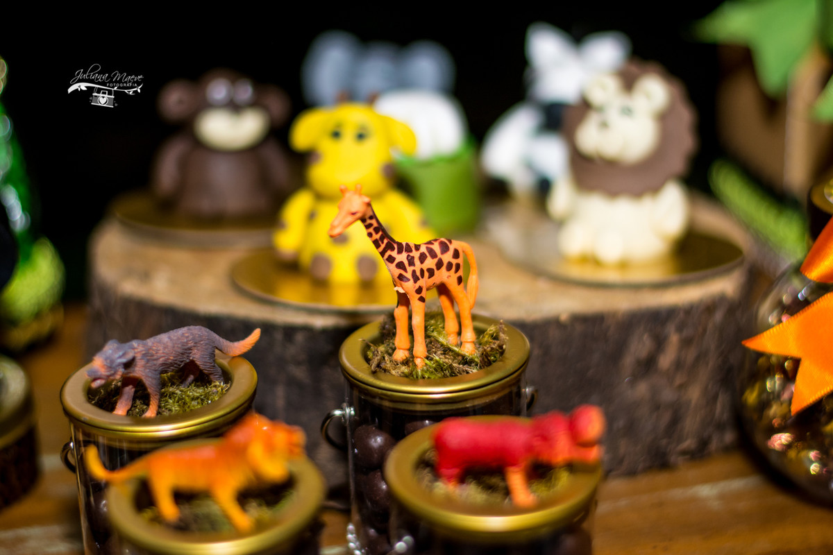 Fotografia Infantil Ouro Preto, Aniversario Infantil Ouro Preto, Juliana Maeve, Juliana Maeve Fotografia, Fotografa Ouro Preto, Aniversario Cachoeira do Campo, Aniversario Safari, Mickey Safari