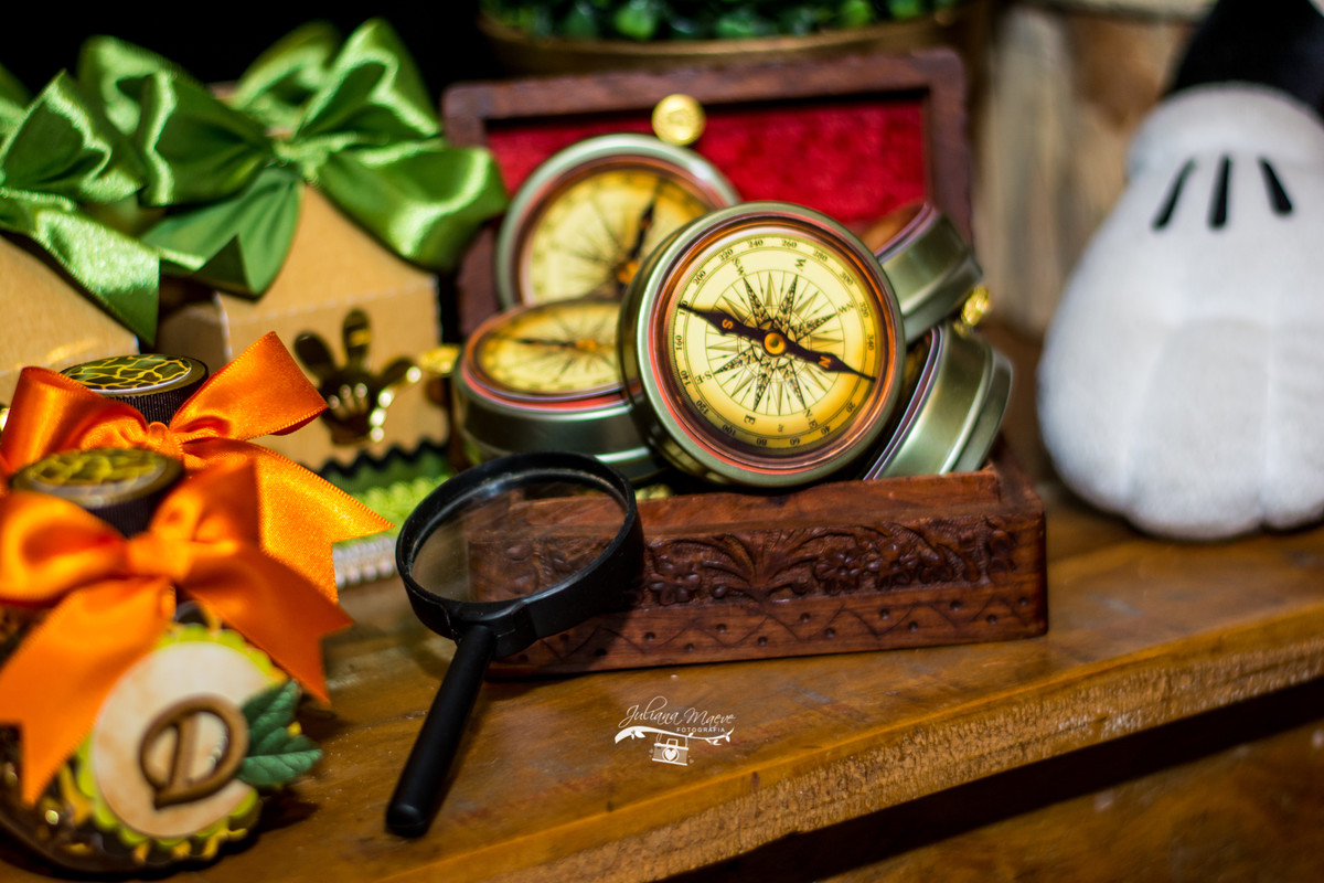 Fotografia Infantil Ouro Preto, Aniversario Infantil Ouro Preto, Juliana Maeve, Juliana Maeve Fotografia, Fotografa Ouro Preto, Aniversario Cachoeira do Campo, Aniversario Safari, Mickey Safari