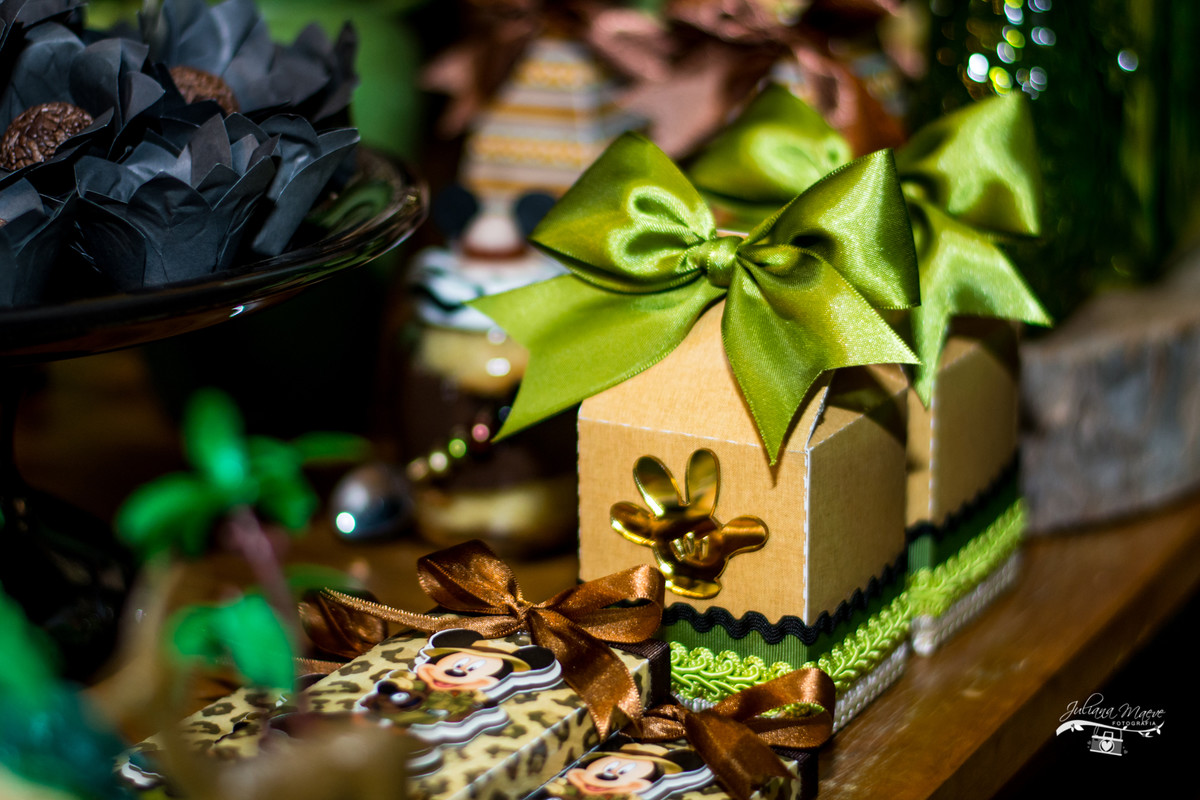 Fotografia Infantil Ouro Preto, Aniversario Infantil Ouro Preto, Juliana Maeve, Juliana Maeve Fotografia, Fotografa Ouro Preto, Aniversario Cachoeira do Campo, Aniversario Safari, Mickey Safari