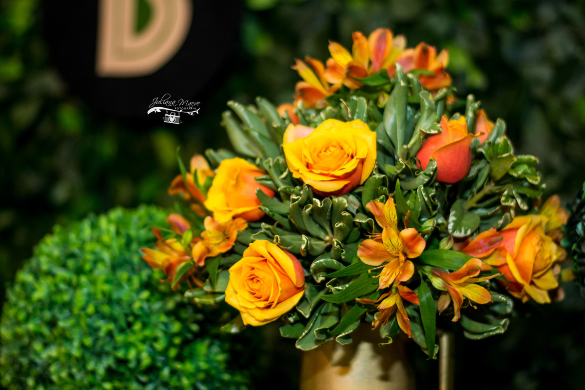 Fotografia Infantil Ouro Preto, Aniversario Infantil Ouro Preto, Juliana Maeve, Juliana Maeve Fotografia, Fotografa Ouro Preto, Aniversario Cachoeira do Campo, Aniversario Safari, Mickey Safari