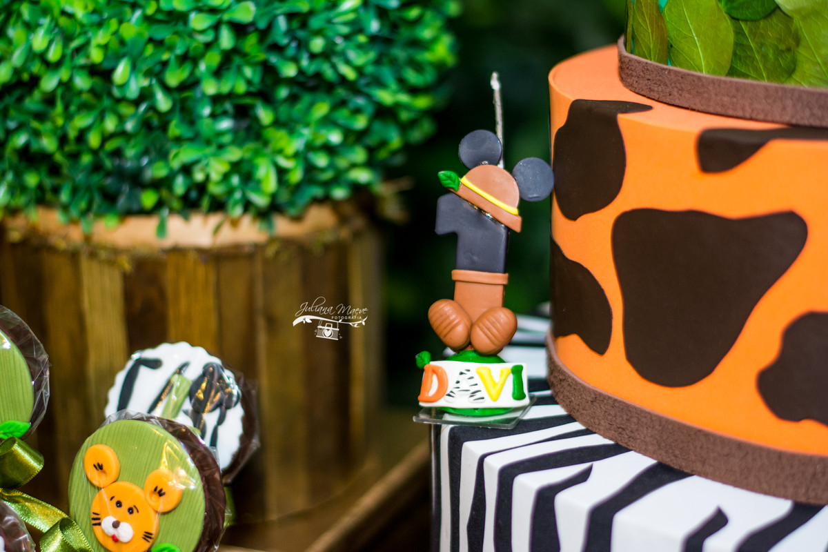 Fotografia Infantil Ouro Preto, Aniversario Infantil Ouro Preto, Juliana Maeve, Juliana Maeve Fotografia, Fotografa Ouro Preto, Aniversario Cachoeira do Campo, Aniversario Safari, Mickey Safari