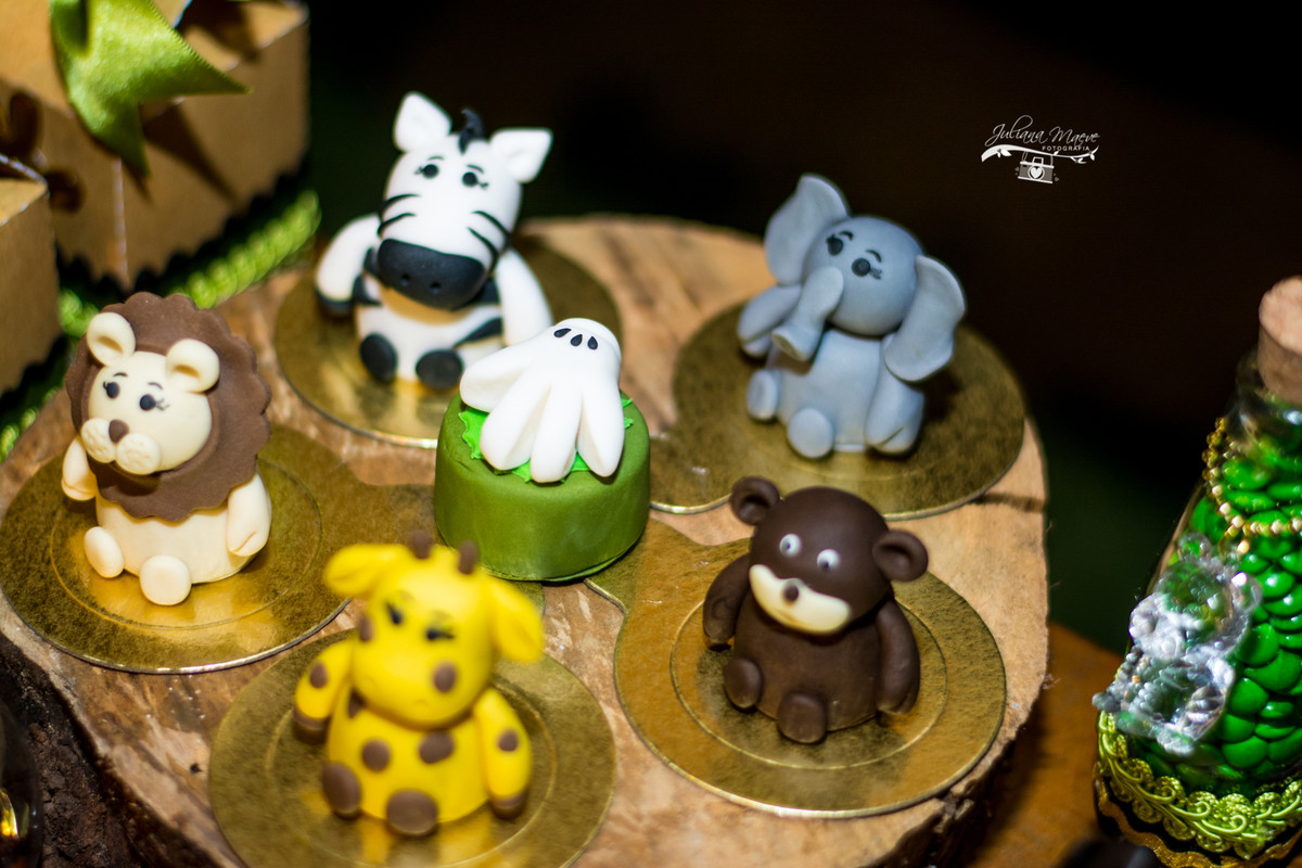 Fotografia Infantil Ouro Preto, Aniversario Infantil Ouro Preto, Juliana Maeve, Juliana Maeve Fotografia, Fotografa Ouro Preto, Aniversario Cachoeira do Campo, Aniversario Safari, Mickey Safari