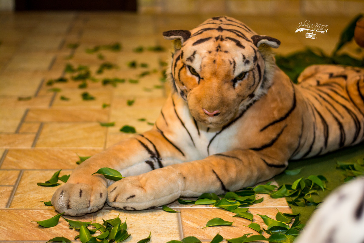 Fotografia Infantil Ouro Preto, Aniversario Infantil Ouro Preto, Juliana Maeve, Juliana Maeve Fotografia, Fotografa Ouro Preto, Aniversario Cachoeira do Campo, Aniversario Safari, Mickey Safari