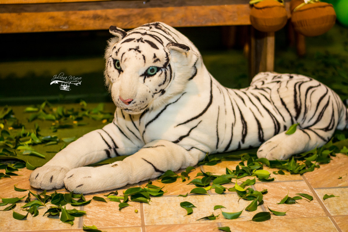 Fotografia Infantil Ouro Preto, Aniversario Infantil Ouro Preto, Juliana Maeve, Juliana Maeve Fotografia, Fotografa Ouro Preto, Aniversario Cachoeira do Campo, Aniversario Safari, Mickey Safari