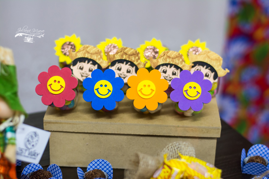 Aniversario Ouro Preto, Fotografia Infantil Ouro Preto, Aniversario Infantil Ouro Preto, Aniversario , Juliana Maeve, Juliana Maeve Fotografia, Fotografa Infantil Ouro Preto, Fotografa Ouro Preto