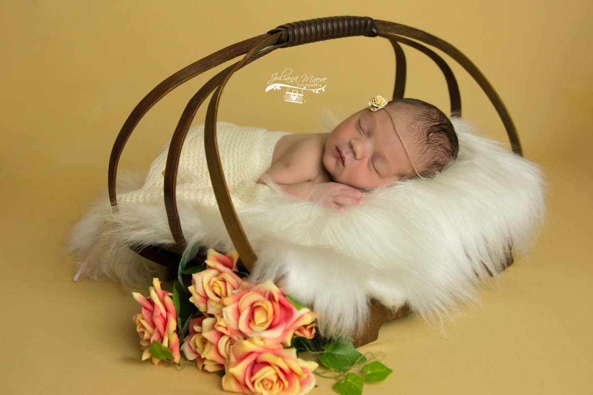 Juliana Maeve Fotografia, Juliana Maeve, Fotografia Newborn Ouro Preto, Newborn Ouro Preto, Fotografa Infantil Ouro Preto, Fotografa Newborn Ouro Preto, Newborn Minas Gerais