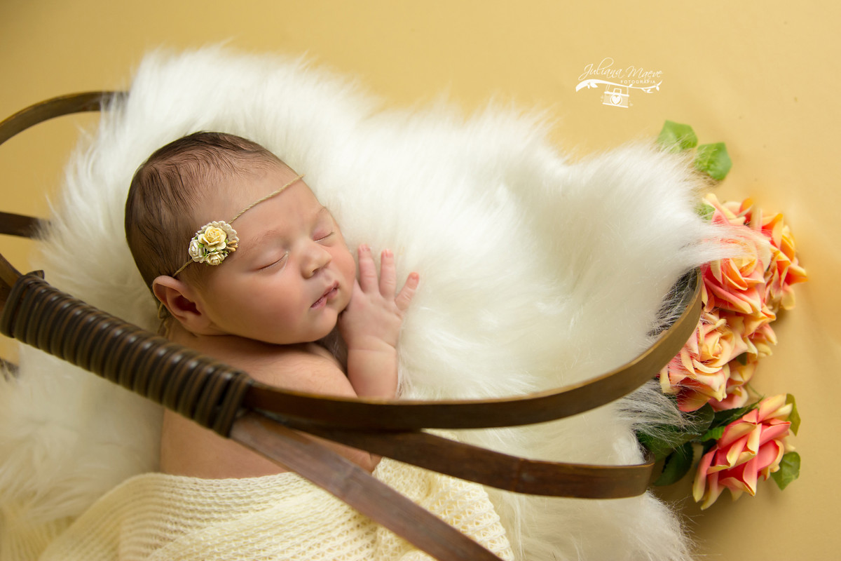 Juliana Maeve Fotografia, Juliana Maeve, Fotografia Newborn Ouro Preto, Newborn Ouro Preto, Fotografa Infantil Ouro Preto, Fotografa Newborn Ouro Preto, Newborn Minas Gerais
