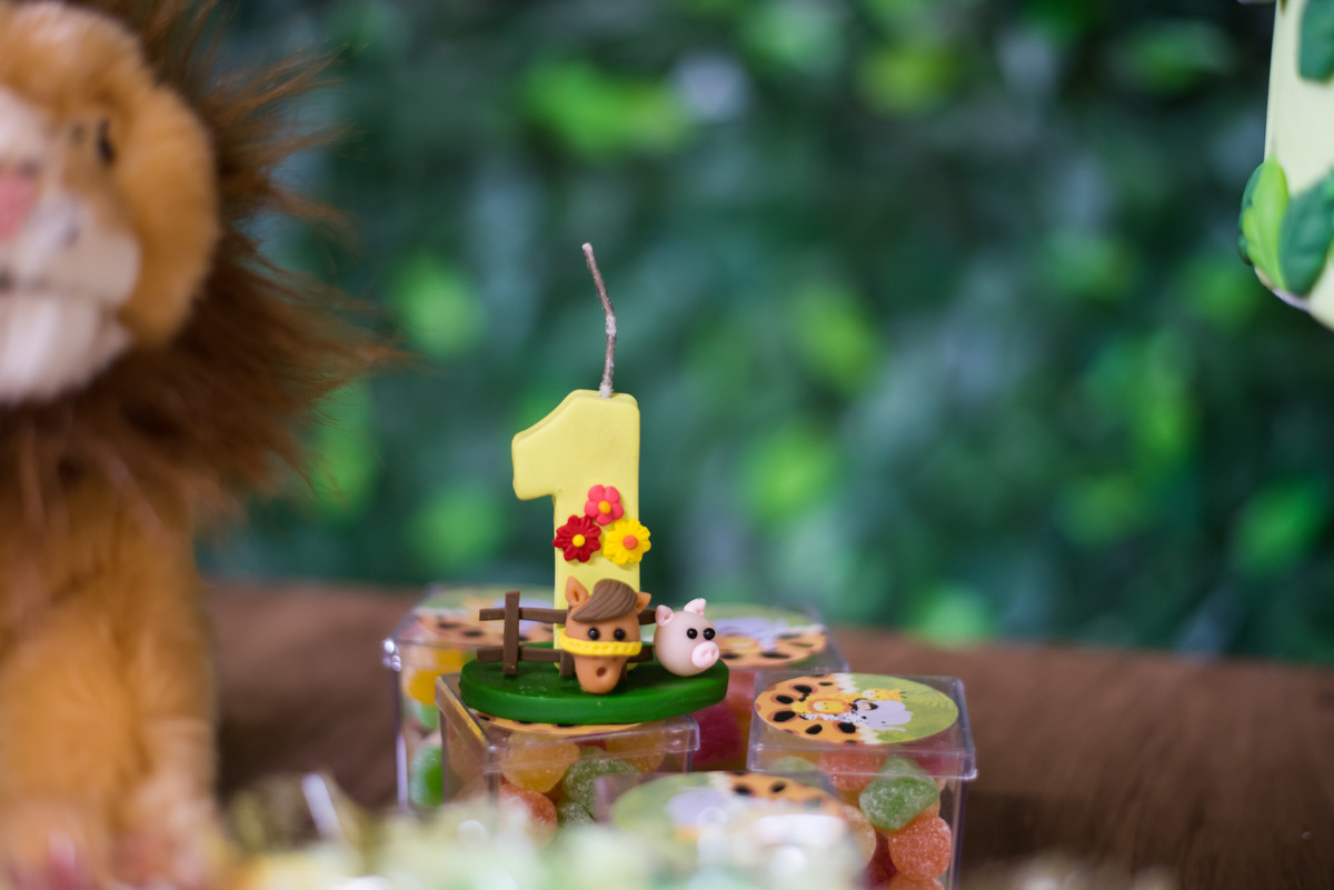 Uzzo Ouro Preto, aniversario na Uzzo, Fotografia Infantil Ouro Preto, Aniversario Infantil Ouro Preto, Juliana Maeve, Juliana Maeve Fotografia, Fotografa Ouro Preto, Aniversario Moranguinho