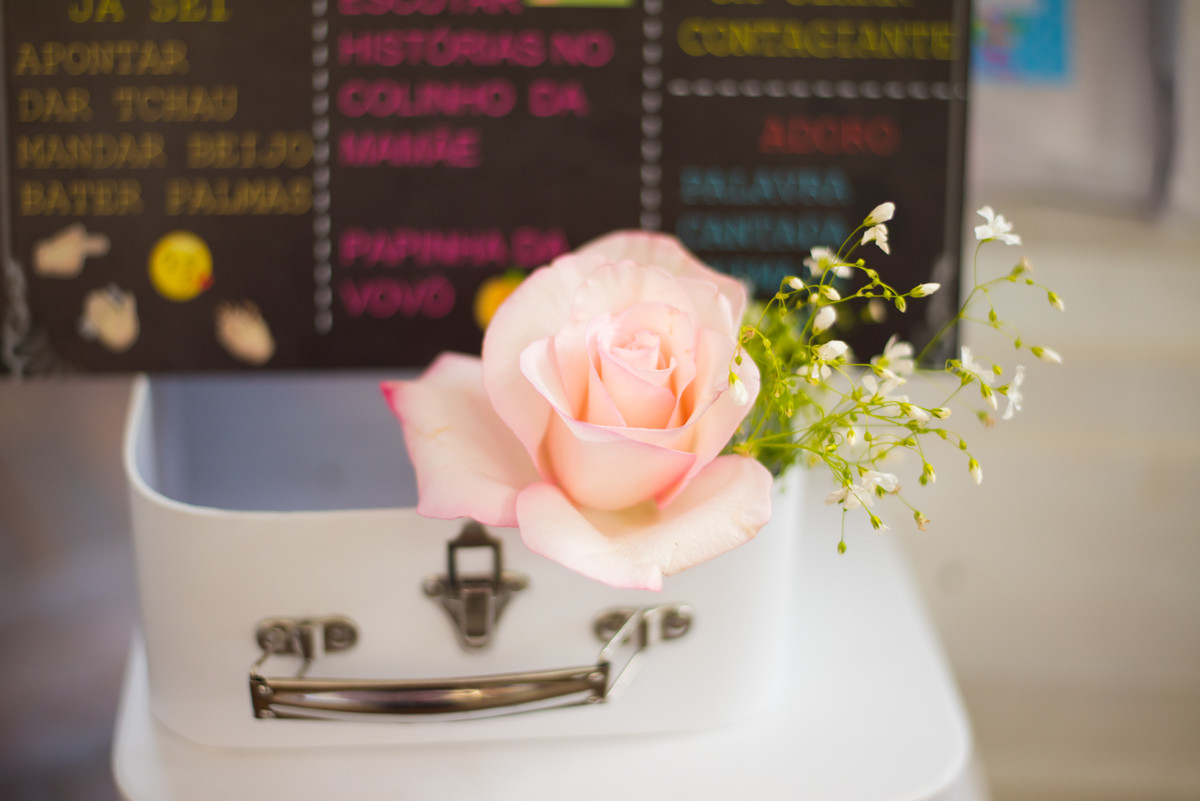 Aniversario Infantil, Ouro Preto MG, Fotografa De Familia Ouro Preto, Juliana Maeve Fotografia, Aniversrio em Ouro Preto