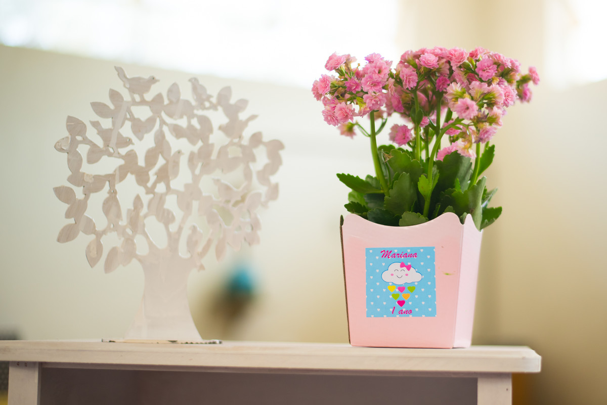 Aniversario Infantil, Ouro Preto MG, Fotografa De Familia Ouro Preto, Juliana Maeve Fotografia, Aniversrio em Ouro Preto