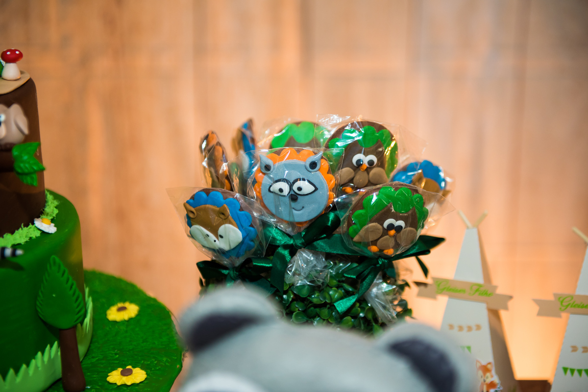 Fotografa de Aniversario em ouro preto, Fotografa Infantil Ouro Preto, Gleiser Boroni Filho, Gleiser Boroni, Gleisinho 1 ano, Buffet Sabor e Arte