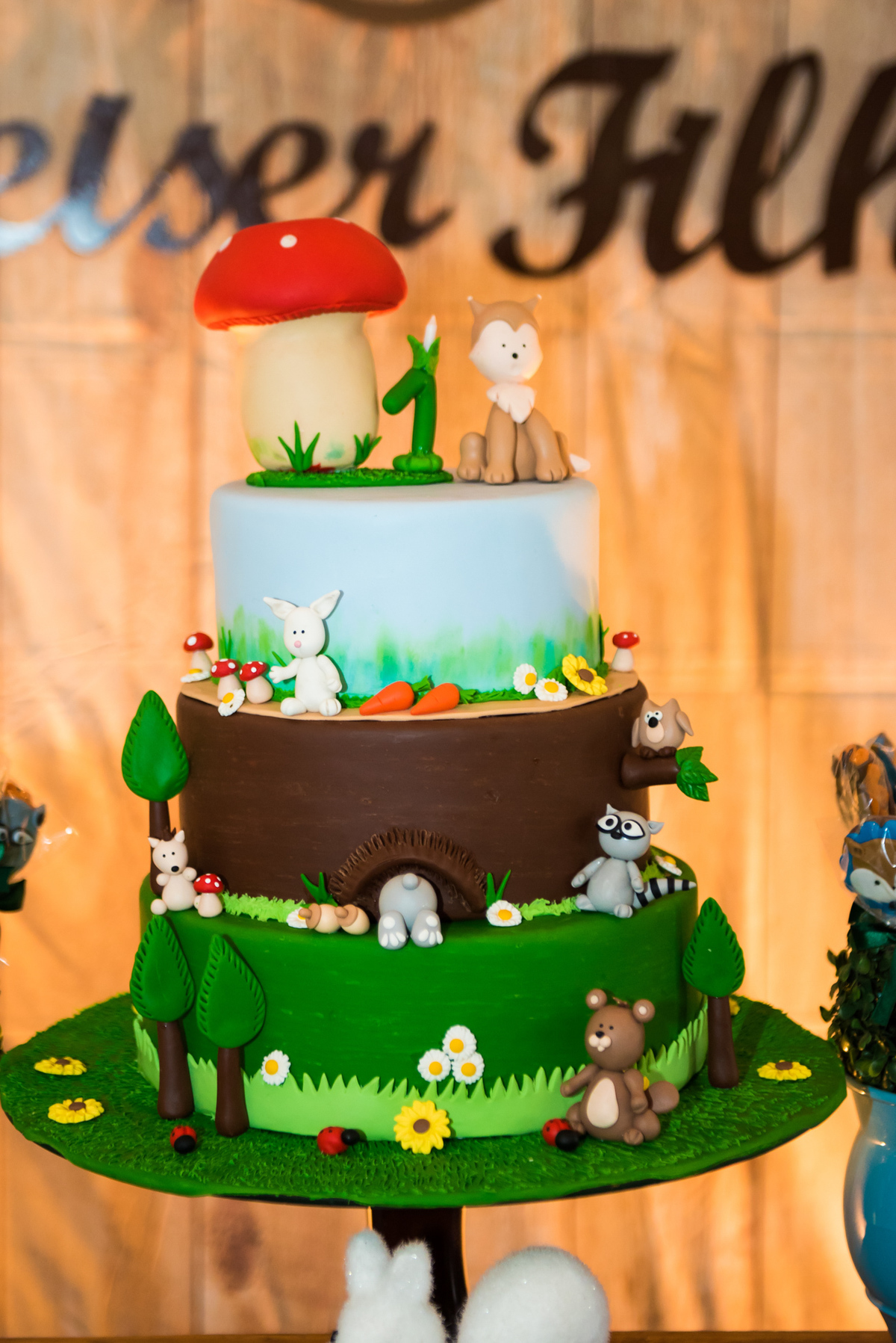 Fotografa de Aniversario em ouro preto, Fotografa Infantil Ouro Preto, Gleiser Boroni Filho, Gleiser Boroni, Gleisinho 1 ano, Buffet Sabor e Arte